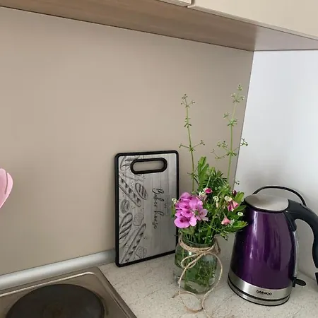 Aida Apartments And Rooms For Couples And Families Free Parking Dubrovnik Extérieur photo