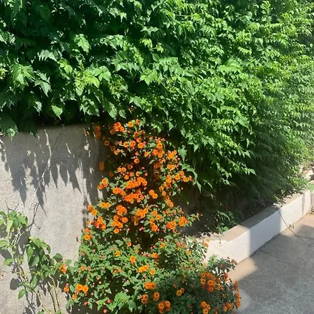 Aida Apartments And Rooms For Couples And Families Free Parking Dubrovnik Extérieur photo
